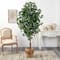 6ft. Ficus Artificial Tree with Natural Trunk in Handmade Natural Jute Planter with Tassels